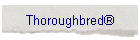 Thoroughbred�