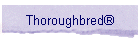 Thoroughbred�